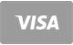 Visa débito y crédito con procesamiento instantáneo